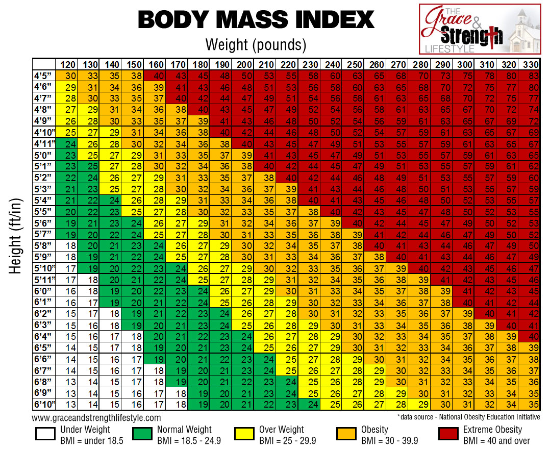 Dot Body Mass Index Chart